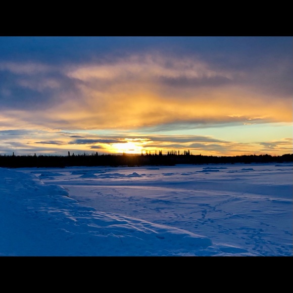 Meet your Posher, Posh - Picture 5 of 9